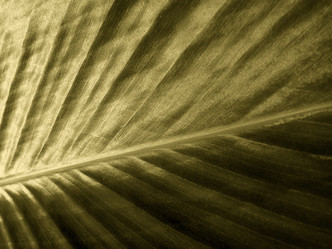 Similar image 7971801