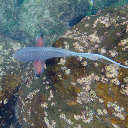 Similar image 7971811