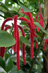 Similar image 7971819