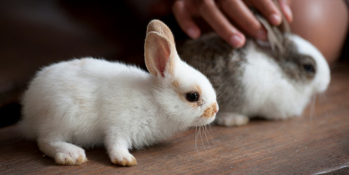 Similar image 7971824