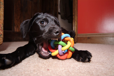 Similar image 7971828