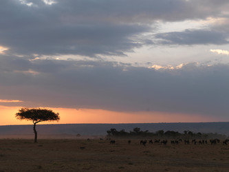 Similar image 7971829