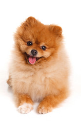 Similar image 7971872