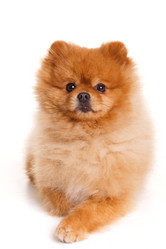 Similar image 7971917