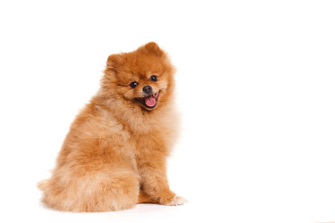 Similar image 7971946