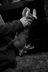 Similar image 7971948