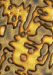 Similar image 7971954