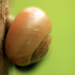 Similar image 7971962