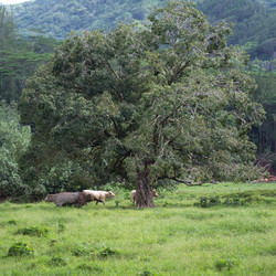 Similar image 7971964