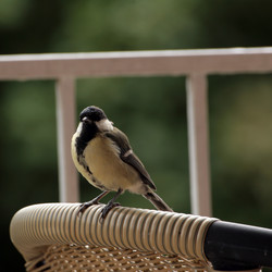 Similar image 7971966