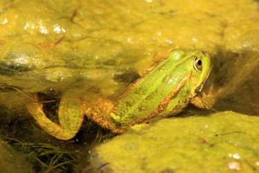 Similar image 7971971