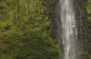 Similar image 7971978