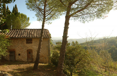 Similar image 7971986