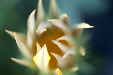 Similar image 7971988