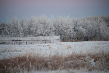 Similar image 7971993