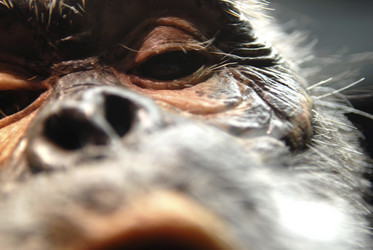 Similar image 7971997