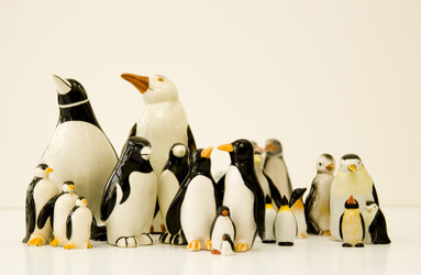 Similar image 7971998