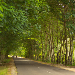 Similar image 7972005