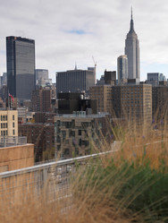 Similar image 7972012