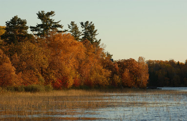 Similar image 7972029