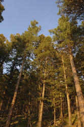 Similar image 7972030