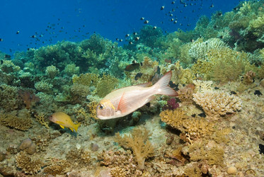 Similar image 7972033