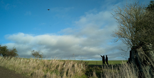 Similar image 7972037