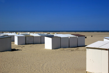 Similar image 7972044