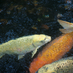 Similar image 7972046