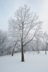 Similar image 7972051