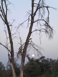 Similar image 7972052