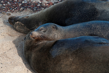 Similar image 7972053