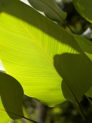 Similar image 7972055