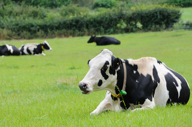 Similar image 7972059