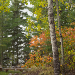 Similar image 7972088