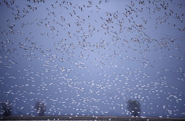 Similar image 7972094