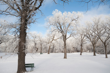 Similar image 7972101