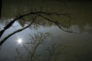 Similar image 7972103