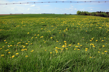 Similar image 7972108