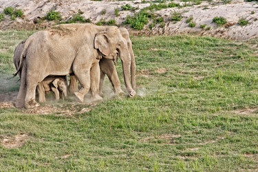 Similar image 7972115