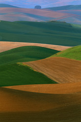 Similar image 7972117