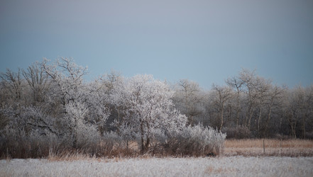 Similar image 7972118