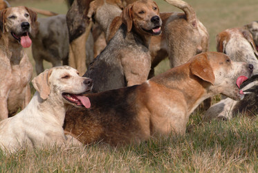 Similar image 7972119