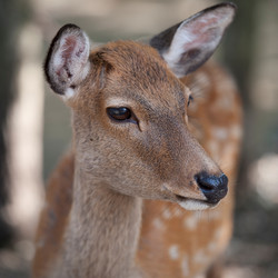 Similar image 7972120