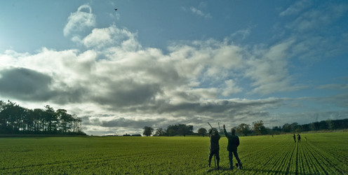 Similar image 7972123