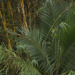 Similar image 7972127