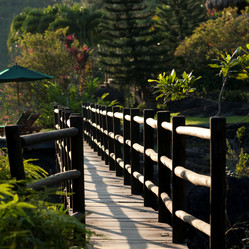 Similar image 7972135