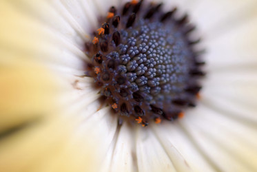 Similar image 7972136