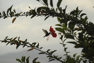 Similar image 7972137