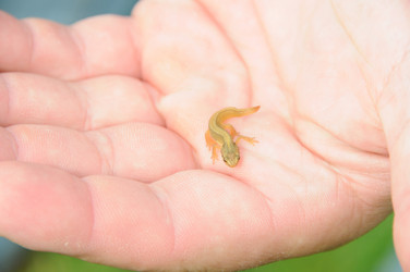 Similar image 7972138